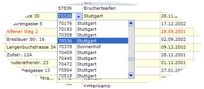 Mehrspaltige ComboBox mit optionaler DB-Anbindung
