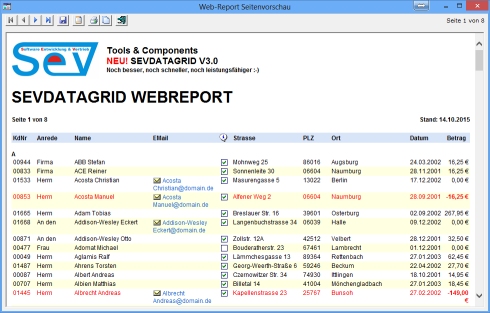 Integrierter WebReport mit Datengruppier-Funktion